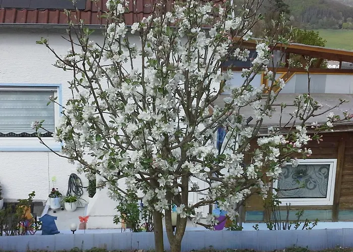 Apartamento Galina *